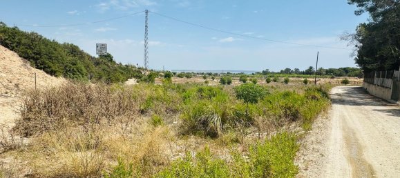  Land in La Marina, Spain No. 152800 16