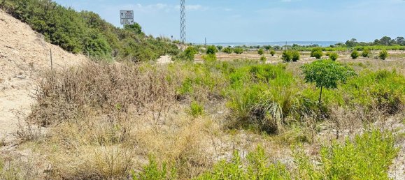  Land in La Marina, Spain No. 152800 15