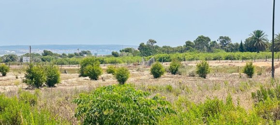  Land in La Marina, Spain No. 152800 23
