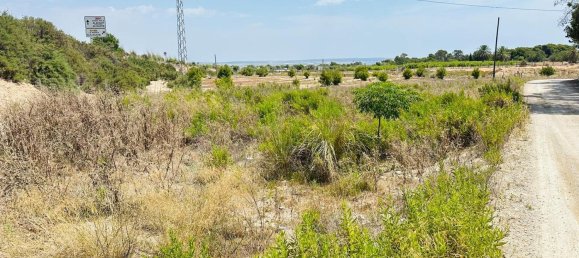  Land in La Marina, Spain No. 152800 4