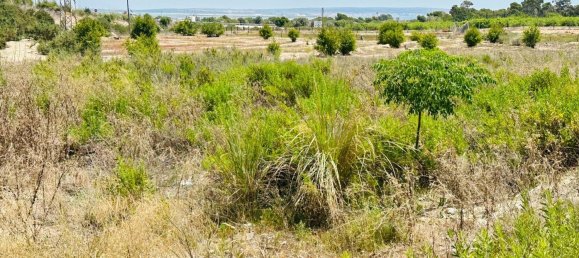  Land in La Marina, Spain No. 152800 13