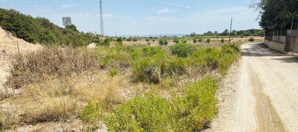  Land in La Marina, Spain No. 152800 25