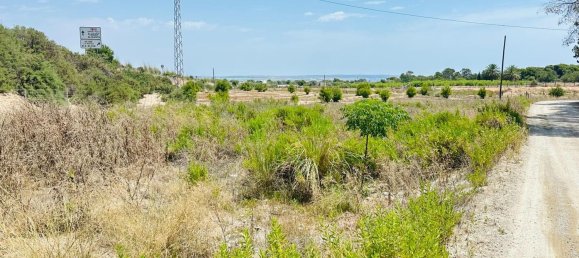  Land in La Marina, Spain No. 152800 14
