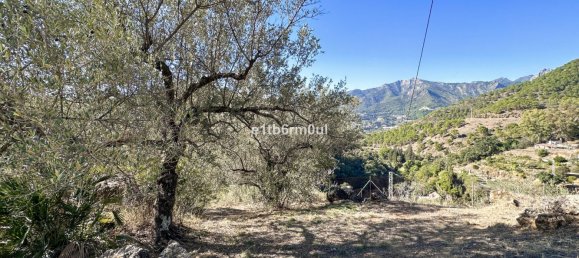 4 chambres Maison à Ojen, Spain No. 140250 6