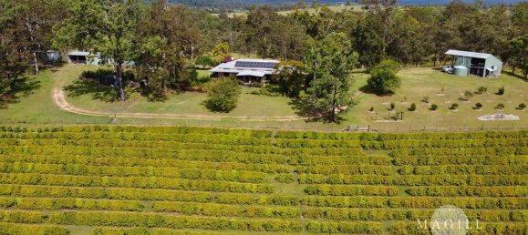 4 bedrooms Farm in Hickeys Creek, Australia No. 832 6