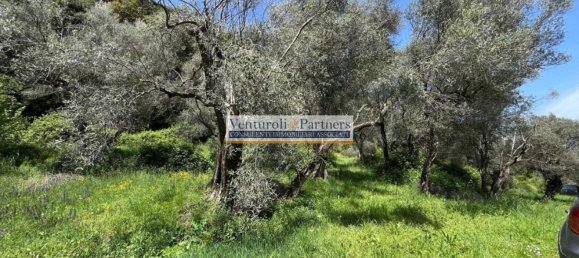 14800m² Land in Toscolano Maderno, Italy No. 258057 9