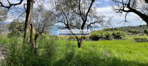 14800m² Land in Toscolano Maderno, Italy No. 258057 7