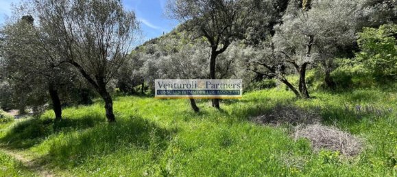 14800m² Land in Toscolano Maderno, Italy No. 258057 10