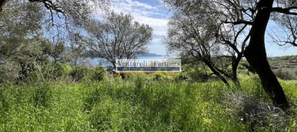 14800m² Land in Toscolano Maderno, Italy No. 258057 11