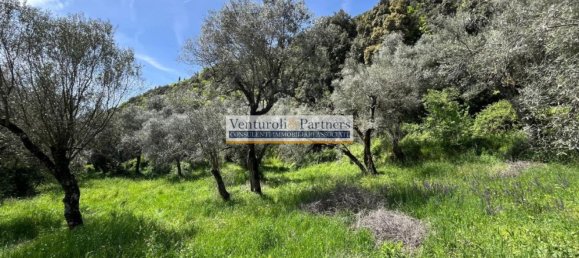 14800m² Land in Toscolano Maderno, Italy No. 258057 12