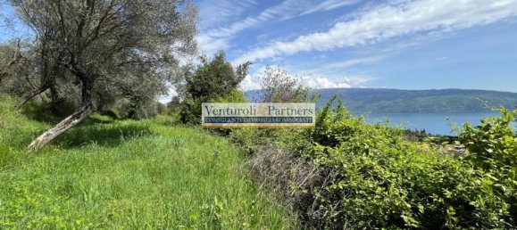 14800m² Land in Toscolano Maderno, Italy No. 258057 5