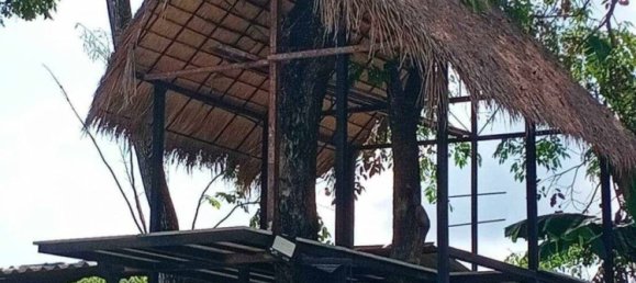 4800m² Office in Sattahip, Thailand No. 15617 7