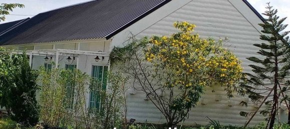 4800m² Office in Sattahip, Thailand No. 15617 5