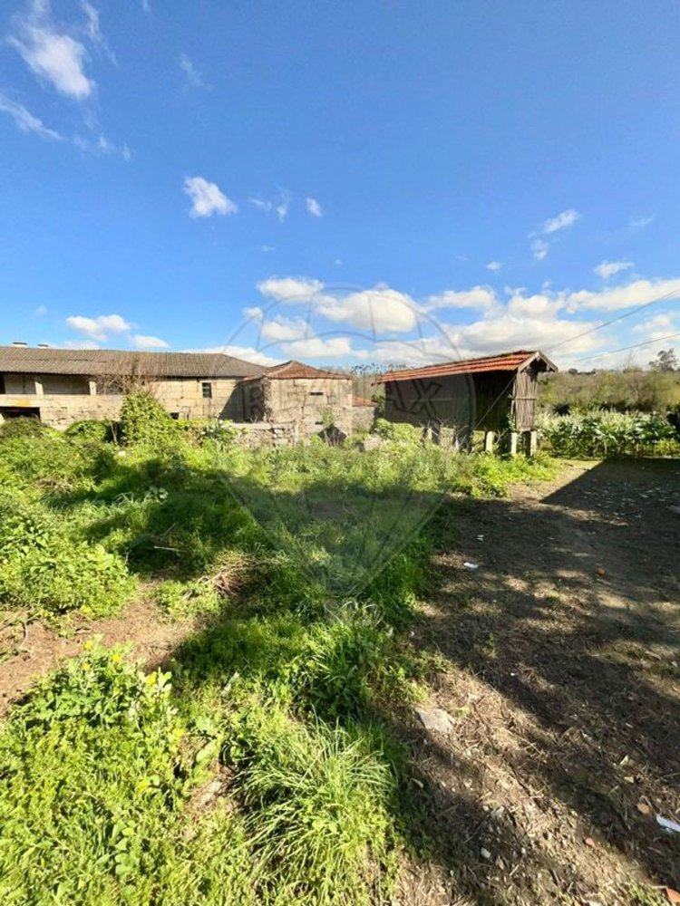 5 غرف نوم منزل في Requiao, Portugal رقم 43203