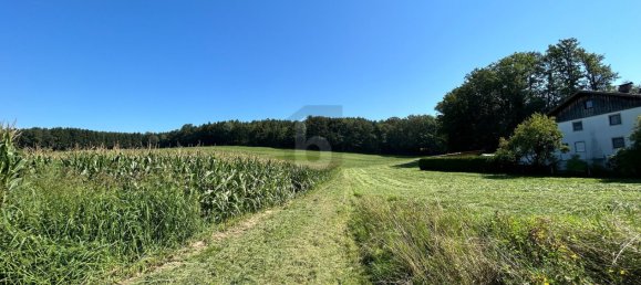  قطعة أرض في Feldkirchen bei Mattighofen, Austria رقم 227801 2