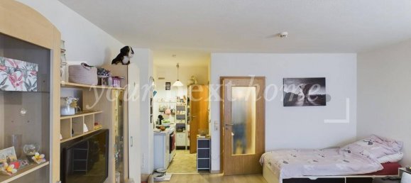 1 bedroom Apartment in Saarbrucken, Germany No. 234163 10