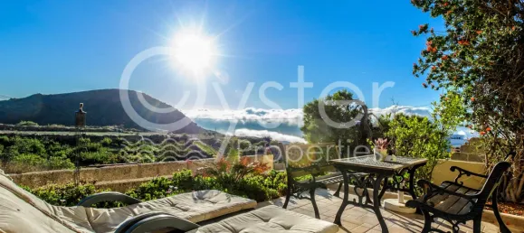 8 bedrooms House in San Miguel de Abona, Spain No. 27666 2