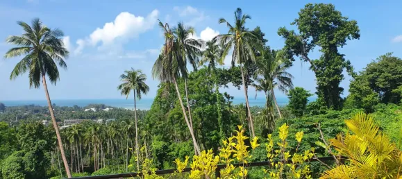 9 chambres Villa à Ko Samui, Thailand No. 64818 22