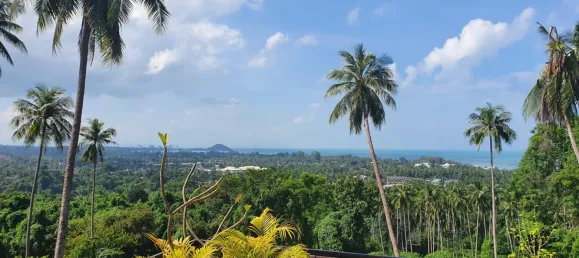 9 chambres Villa à Ko Samui, Thailand No. 64818 24