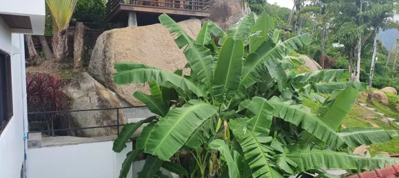 9 chambres Villa à Ko Samui, Thailand No. 64818 20