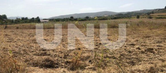 10000m² Land in Telhado, Portugal No. 76988 5