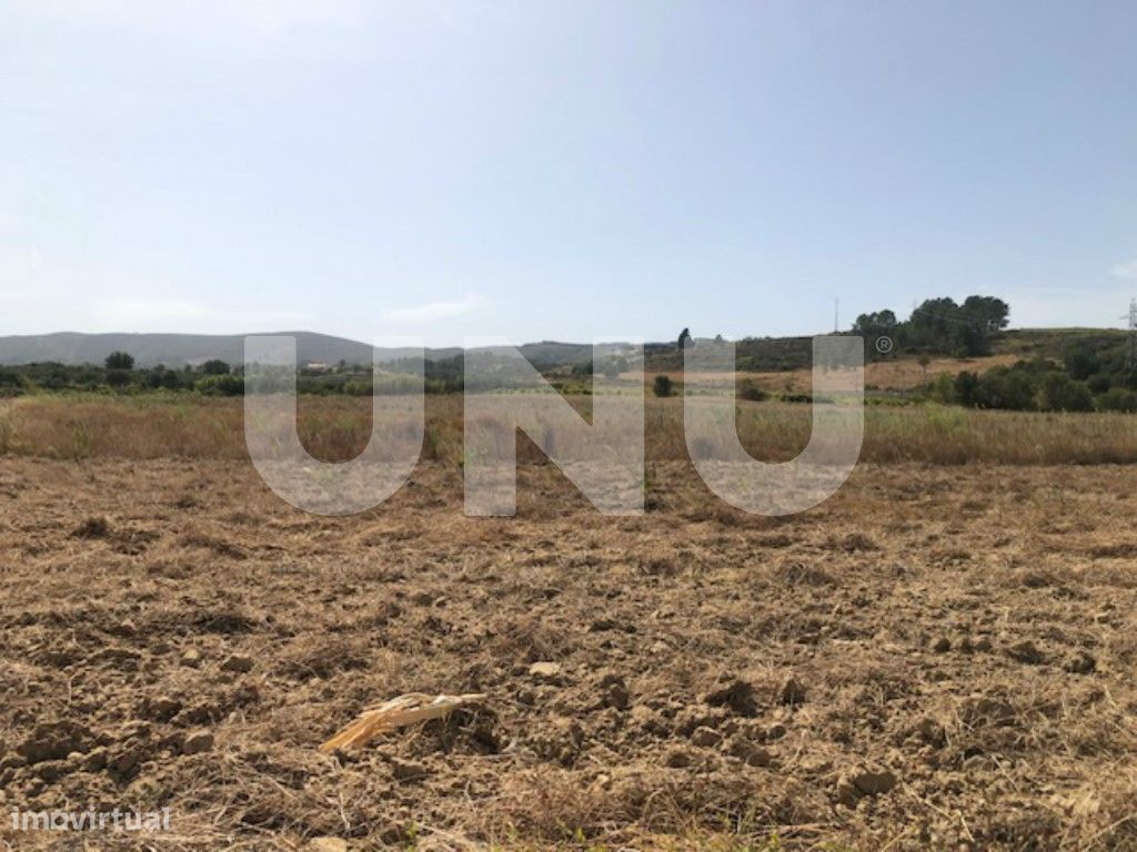 10000m² Land in Telhado, Portugal No. 76988