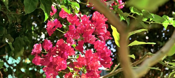 3 bedrooms House in Cascais, Portugal No. 133189 5