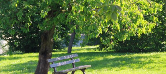 3 bedrooms Apartment in Montevrain, France No. 162465 8