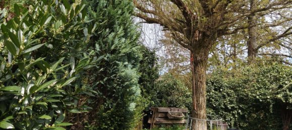 Villa de 2 dormitorios en Birkenfeld, Germany No. 173756 9