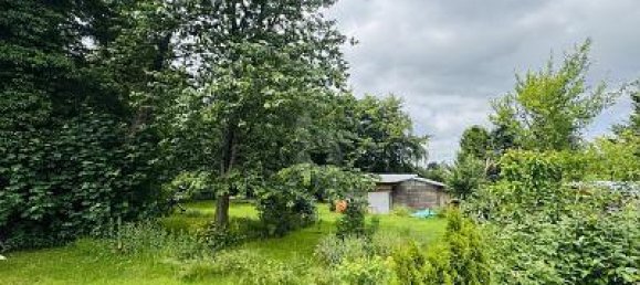 13غرفة تاون هاوس في Altona, Germany رقم 241848 3