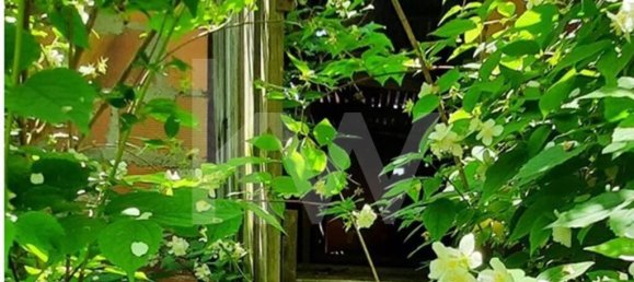 3 bedrooms House in Cabeceiras de Basto, Portugal No. 27329 42