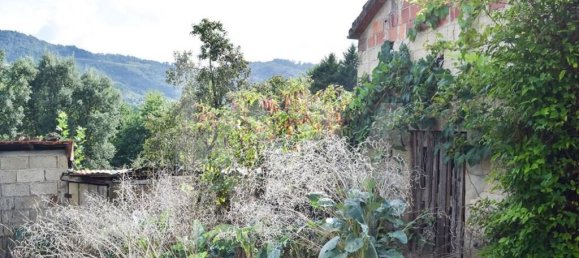 3 bedrooms House in Cabeceiras de Basto, Portugal No. 27329 7