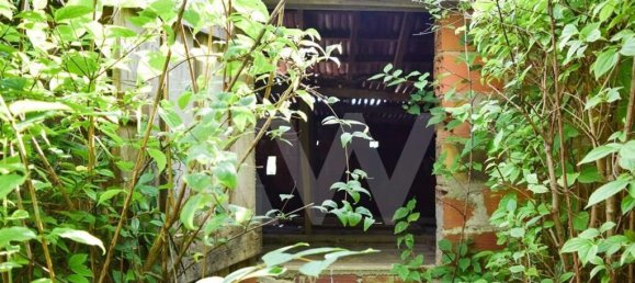 3 bedrooms House in Cabeceiras de Basto, Portugal No. 27329 6