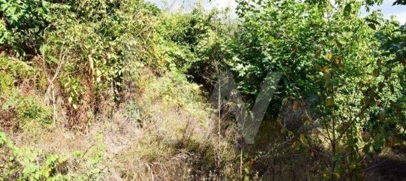 3 bedrooms House in Cabeceiras de Basto, Portugal No. 27329 21