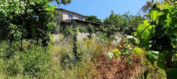 3 bedrooms House in Cabeceiras de Basto, Portugal No. 27329 36