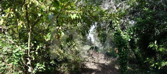 3 bedrooms House in Cabeceiras de Basto, Portugal No. 27329 12