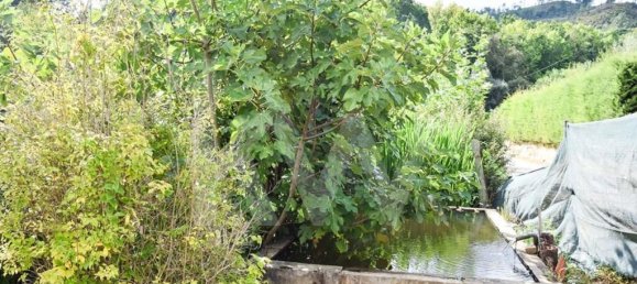 3 bedrooms House in Cabeceiras de Basto, Portugal No. 27329 5