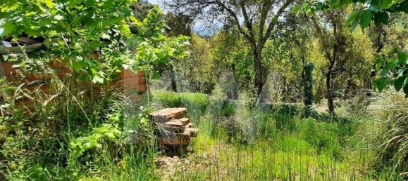 3 bedrooms House in Cabeceiras de Basto, Portugal No. 27329 33