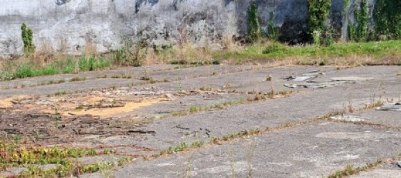 Terreno en Casaletto Ceredano, Italy No. 359751 6