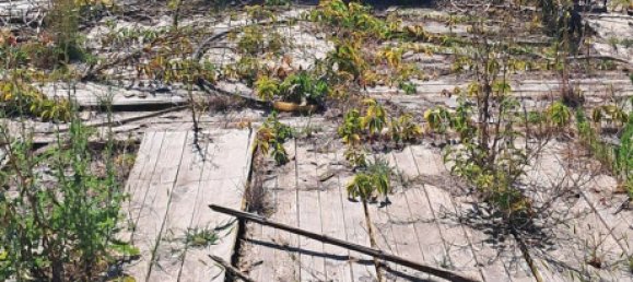 Terreno en Casaletto Ceredano, Italy No. 359751 2