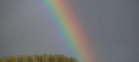 Таунхаус с 4 спальнями в Кальв, Германия № 12063 42