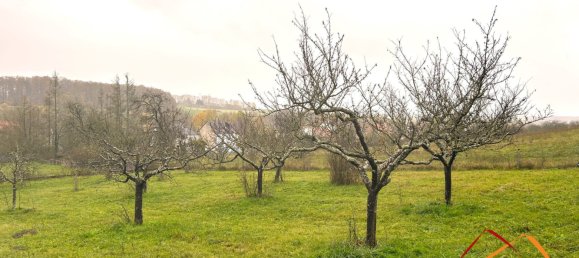  Land in Hundling, France No. 46934 4