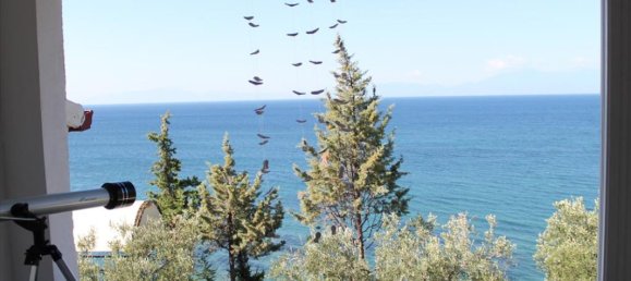 1 bedroom Villa in Chalkidiki, Greece No. 1191 4