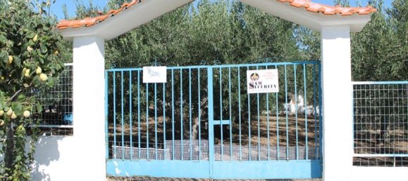 1 bedroom Villa in Chalkidiki, Greece No. 1191 13