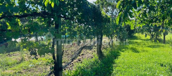 1400m² Land in Udine, Italy No. 295919 8