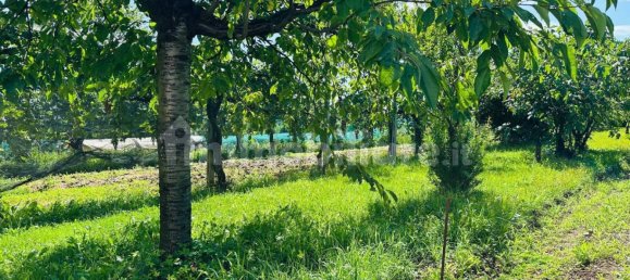 1400m² Land in Udine, Italy No. 295919 7