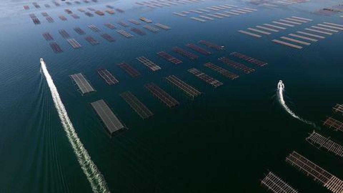 3 Schlafzimmer Eigentumswohnung in Marseillan, France, Nr. 37083