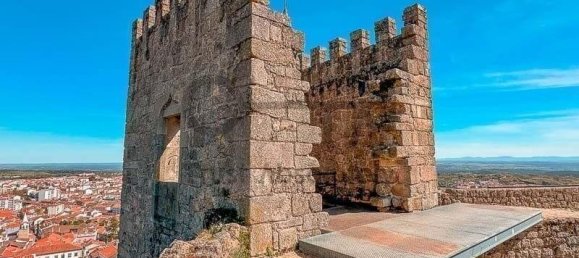 Lagerhaus in Castelo Branco, Portugal 661m², Nr. 224780 16