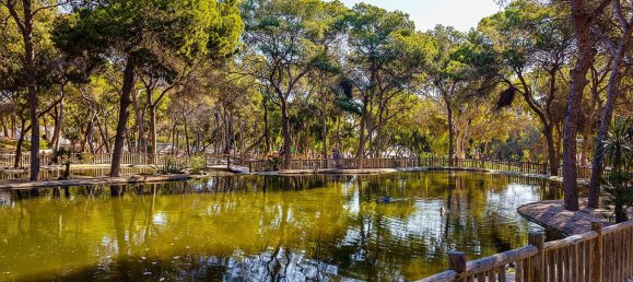 3 bedrooms Apartment in Guardamar del Segura, Spain No. 14928 18