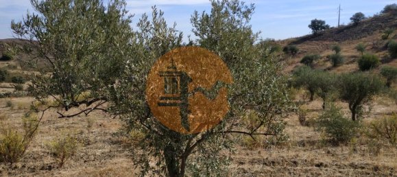 1200m² Land in Castro Marim, Portugal No. 130460 26